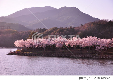 春の恵那峡 21638952