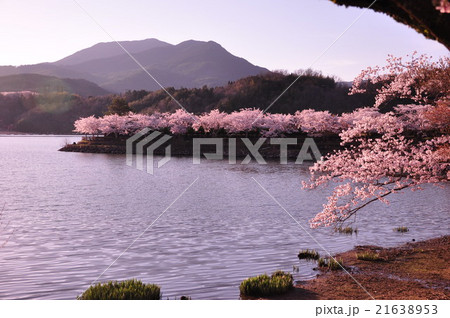 春の恵那峡 21638953