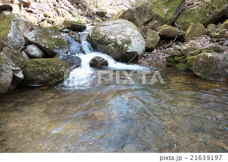 矢作川源流域の流れ 21639197