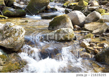 矢作川源流域の流れ 21639205