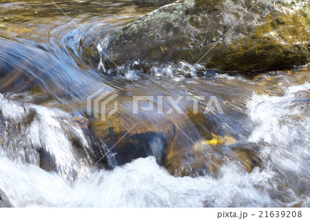 矢作川源流域の流れ 21639208