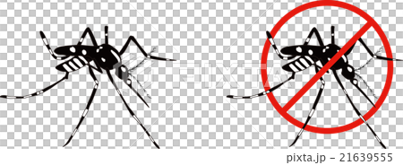 ヒトスジシマカ（ヤブ蚊） 21639555
