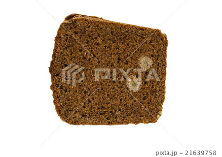 mold on bread   21639758