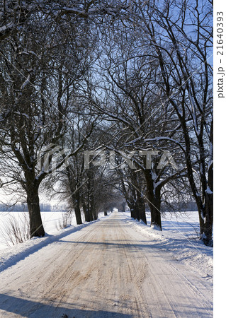 winter road , roadside. winter road , roadside. 21640393