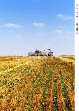 agricultural field cleaning agricultural field cleaning 21640420