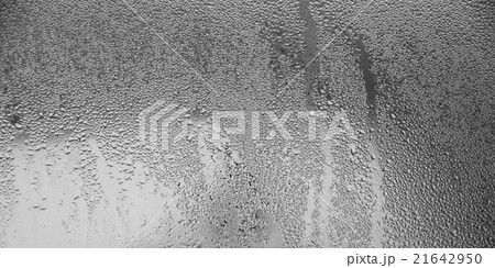 Rain drops on the Window glass 21642950