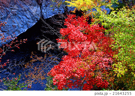 塩原渓谷 21643255