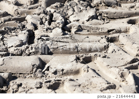 plowed for crop land   21644443