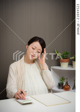 妊婦 家計簿 妊婦 家計簿 21644523