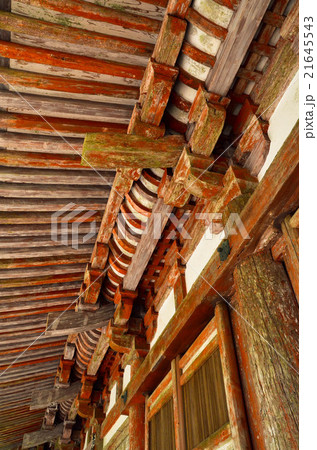 室生寺・金堂 室生寺・金堂 21645543