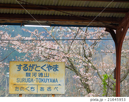 春の駿河徳山駅 21645953