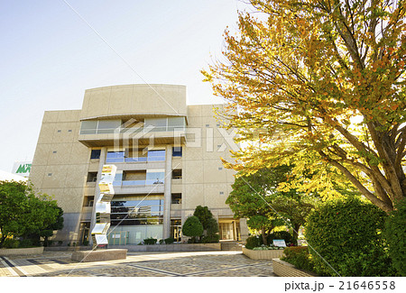 仙台市太白区役所東日本大震災後の補修工事完了紅葉が映える市民ひろば 21646558