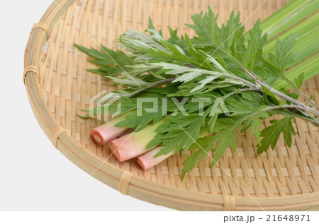 菖蒲湯用のショウブとヨモギ 21648971