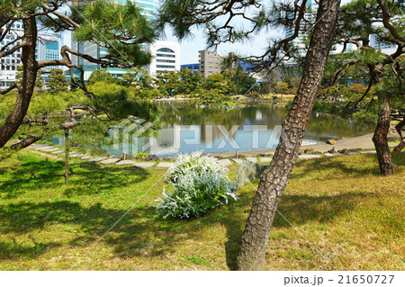 旧芝離宮恩賜庭園と青空 21650727