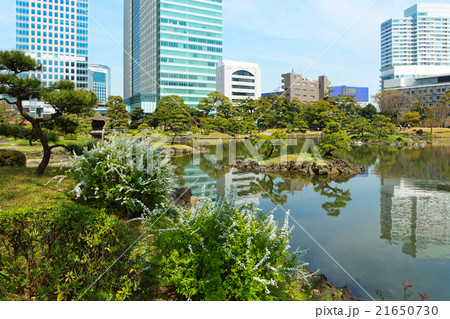 旧芝離宮恩賜庭園と青空 21650730