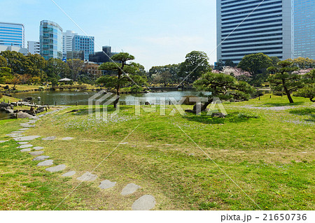 旧芝離宮恩賜庭園と満開の桜の写真素材