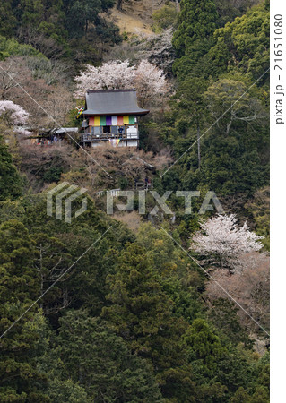 春嵐山 21651080