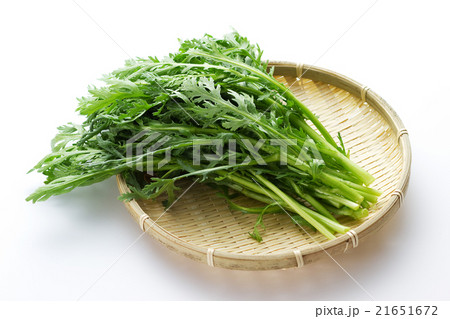 春菊4 春菊4 21651672