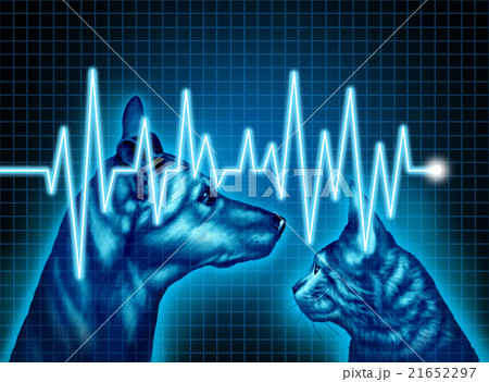 Pet Health Care 21652297