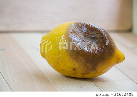 rotten lemon put on wooden table rotten lemon put on wooden table 21652409