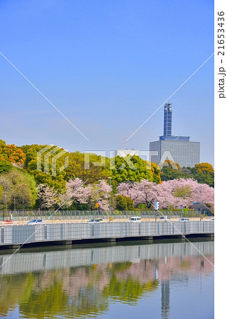 首都高と桜 21653436