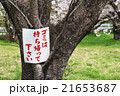 お花見のゴミは持ち帰りましょう 21653687