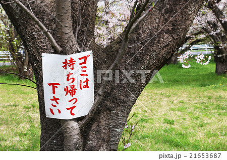 お花見のゴミは持ち帰りましょう 21653687