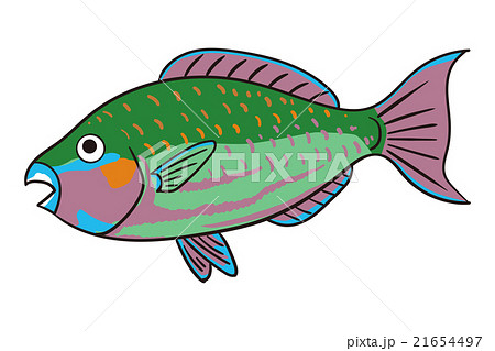 ブダイのイラスト ブダイのイラスト 21654497