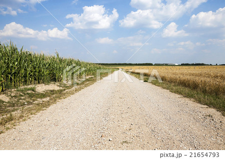 road in a field   21654793