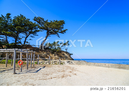 日間賀島　宮の鼻 21656201