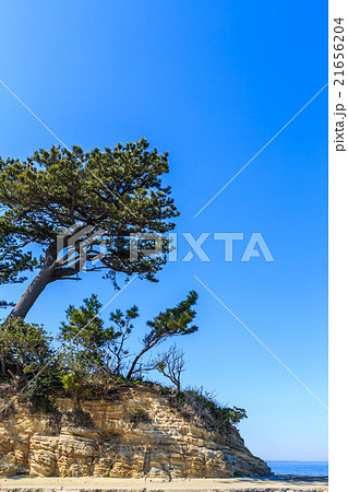 日間賀島 宮の鼻 日間賀島 宮の鼻 21656204