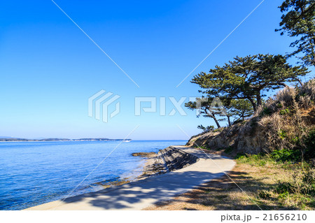日間賀島 宮の鼻 日間賀島 宮の鼻 21656210