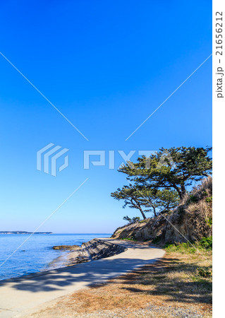 日間賀島　宮の鼻 21656212