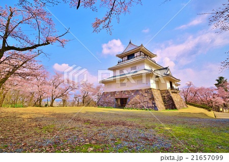 桜咲く越後長岡城 長岡悠久山公園の春の写真素材