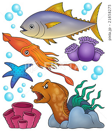 Ocean fauna topic set 2 Ocean fauna topic set 2 21658275