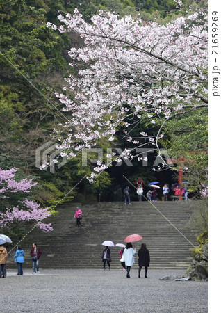 霧島 霧島 21659269