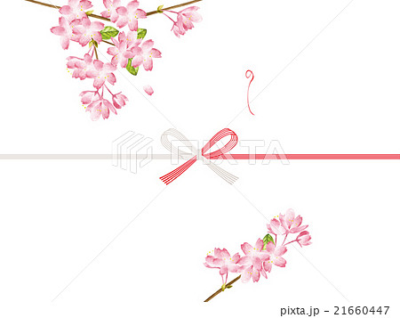 のし紙　桜 21660447