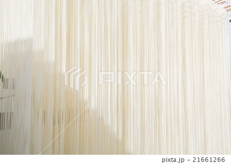 素麺 素麺 21661266