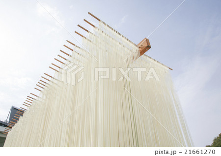 素麺 天日干し風景 素麺 天日干し風景 21661270