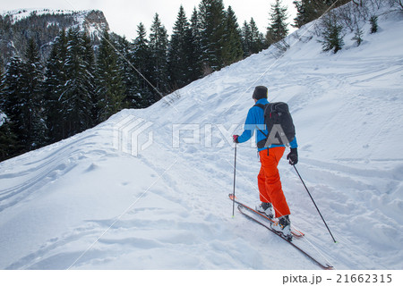 Randonnee ski trails near the forest 21662315