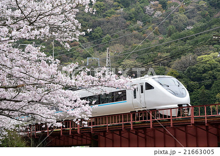 山中渓の桜と、289系「くろしお」 山中渓の桜と、289系「くろしお」 21663005