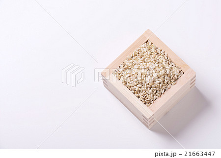 玄米麹 自然栽培 生麹 イメージ素材 背景素材 玄米麹 自然栽培 生麹 イメージ素材 背景素材 21663447