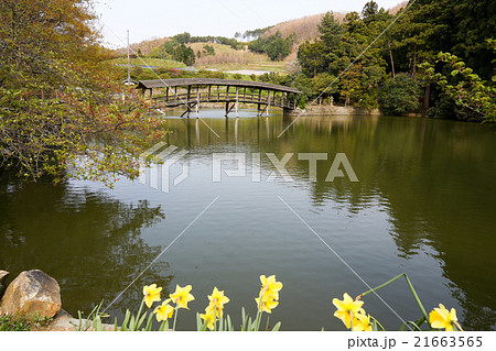 弓削神社　太鼓橋 21663565
