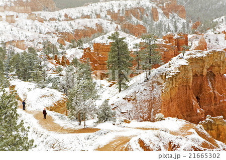 Hikers venture into snow covered Bryce Canyon 21665302