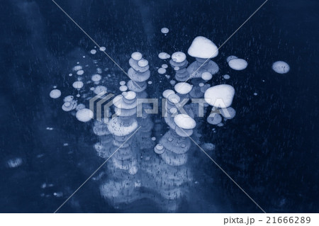 Frozen bubbles in transparent ice. Frozen bubbles in transparent ice. 21666289