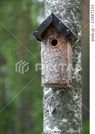 Handmade birdhouse on tree 21667233