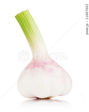 Fresh Young Garlic 21667602