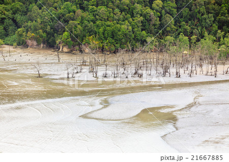 Aerial view from beach at low tide Aerial view from beach at low tide 21667885