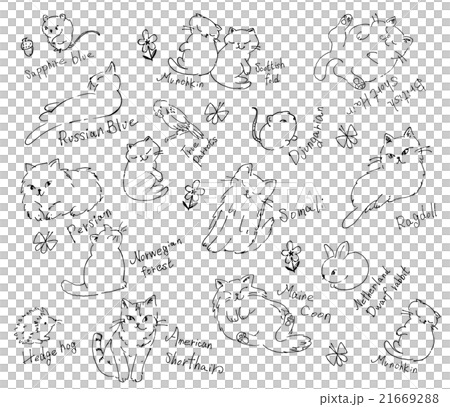 Cat pen touch Cat pen touch 21669288