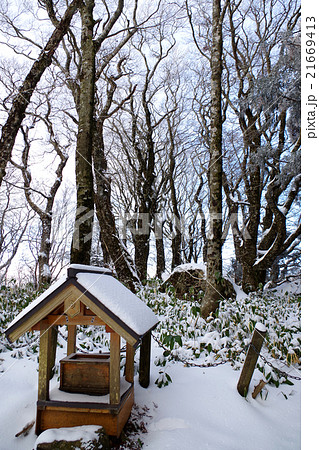 比婆山御陵薄化粧 雪 ブナ 社 比婆山御陵薄化粧 雪 ブナ 社 21669413